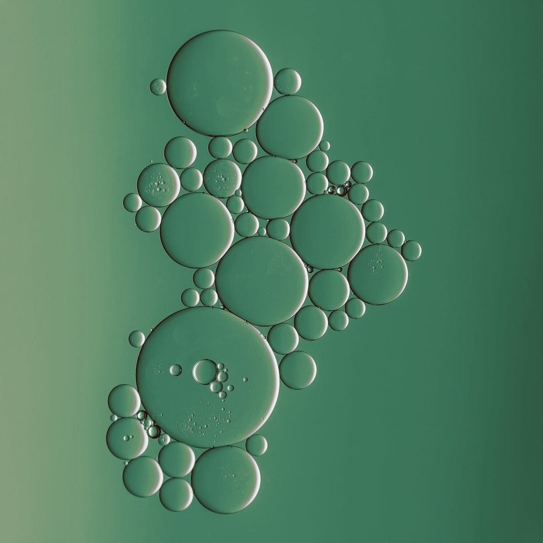 Biofilm and How to Purge